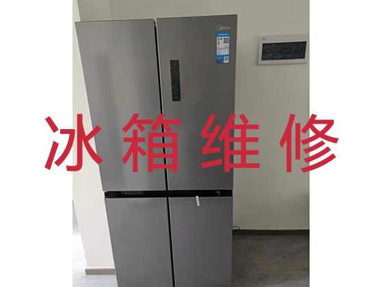 广州维修冰箱服务